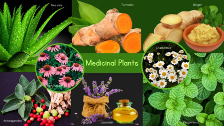 Medicinal Plants