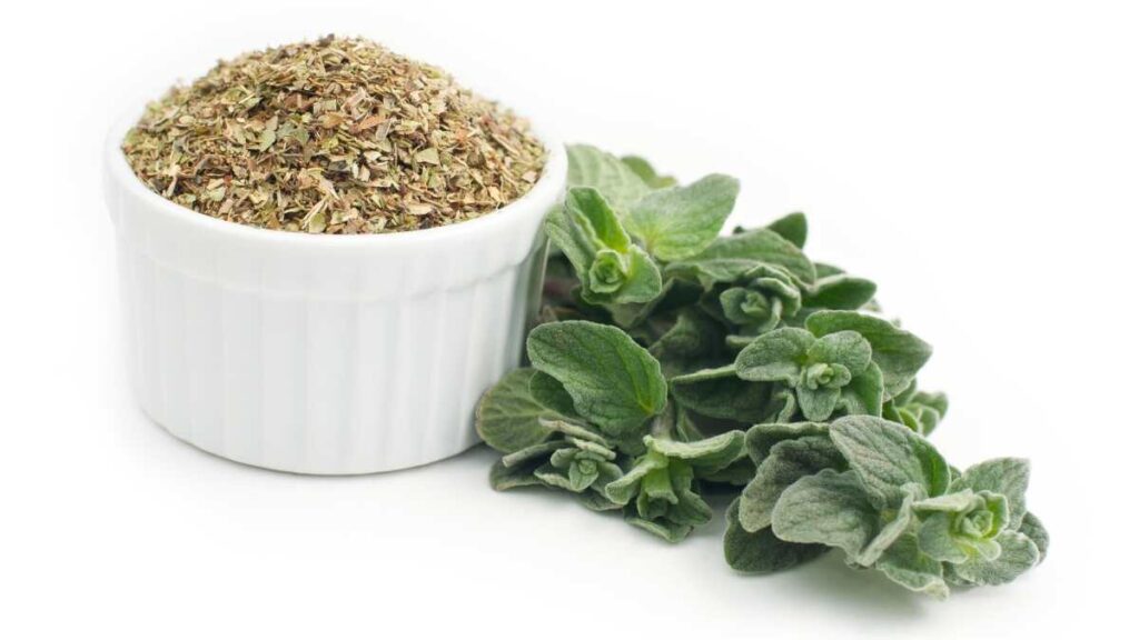 Oregano