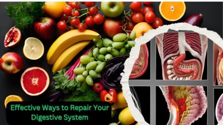 Effective Ways to Repair Your Digestive System