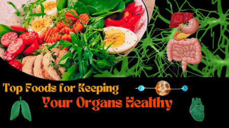 Foods for Keeping Your Organs Healthy