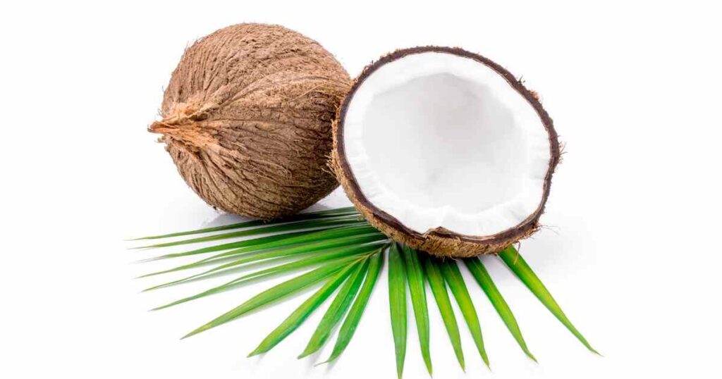 Coconut